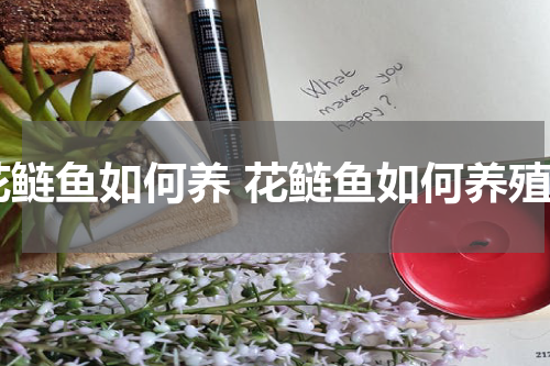 花鲢鱼如何养 花鲢鱼如何养殖