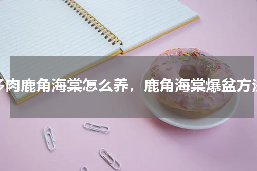 多肉鹿角海棠怎么养，鹿角海棠爆盆方法