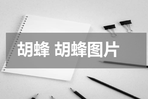 胡蜂 胡蜂图片