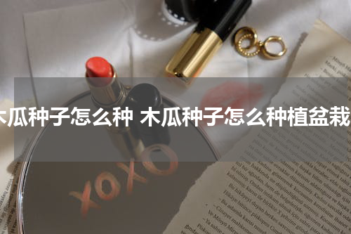 木瓜种子怎么种 木瓜种子怎么种植盆栽