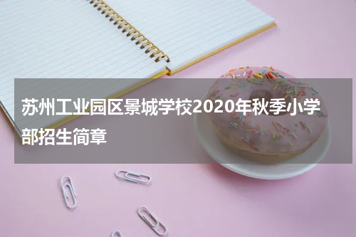 苏州工业园区景城学校2020年秋季小学部招生简章