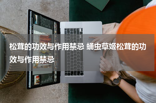 松茸的功效与作用禁忌 蛹虫草姬松茸的功效与作用禁忌