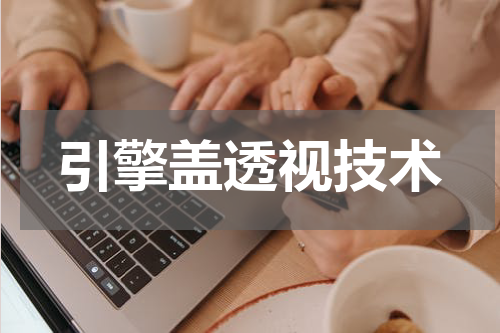 引擎盖透视技术