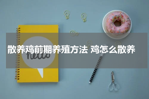 散养鸡前期养殖方法 鸡怎么散养