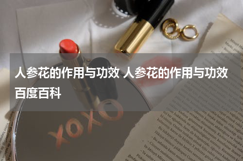 人参花的作用与功效 人参花的作用与功效百度百科