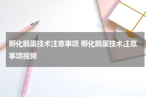 孵化鹅蛋技术注意事项 孵化鹅蛋技术注意事项视频