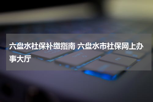 六盘水社保补缴指南 六盘水市社保网上办事大厅