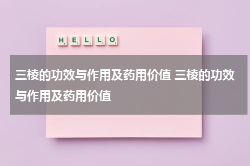三棱的功效与作用及药用价值 三棱的功效与作用及药用价值