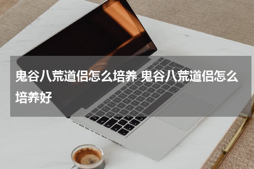 鬼谷八荒道侣怎么培养 鬼谷八荒道侣怎么培养好
