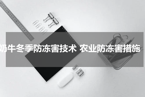 奶牛冬季防冻害技术 农业防冻害措施