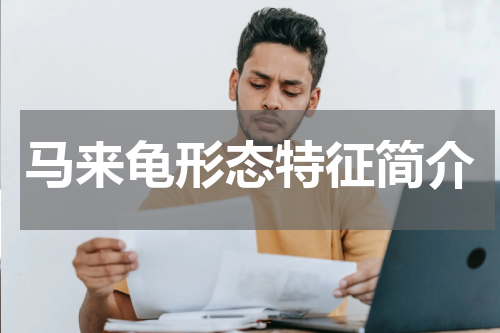 马来龟形态特征简介