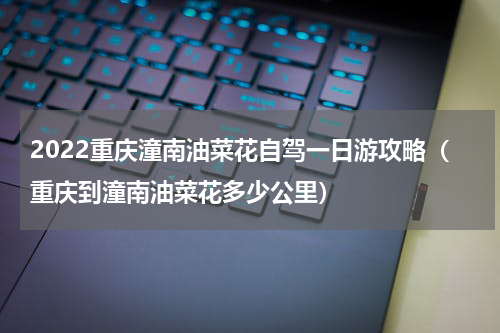 2022重庆潼南油菜花自驾一日游攻略（重庆到潼南油菜花多少公里）