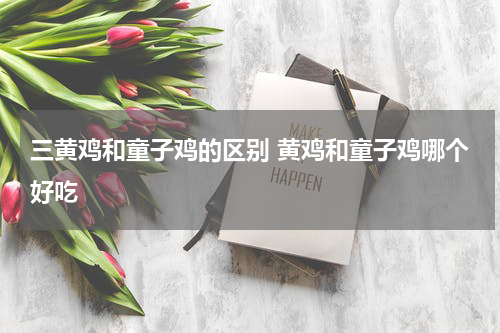 三黄鸡和童子鸡的区别 黄鸡和童子鸡哪个好吃