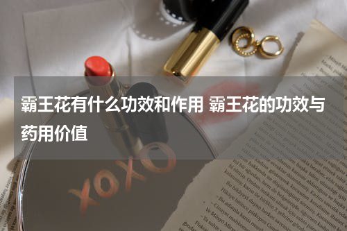 霸王花有什么功效和作用 霸王花的功效与药用价值