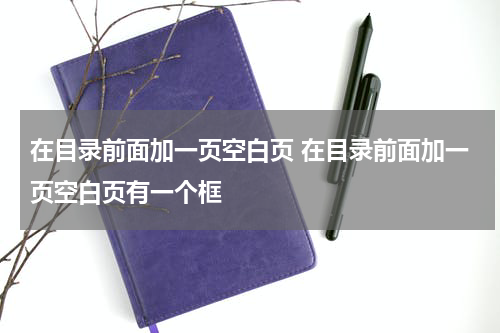 在目录前面加一页空白页 在目录前面加一页空白页有一个框