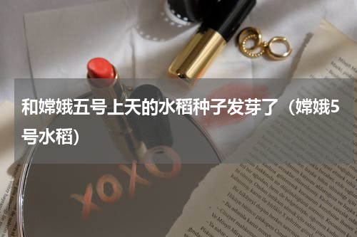 和嫦娥五号上天的水稻种子发芽了（嫦娥5号水稻）