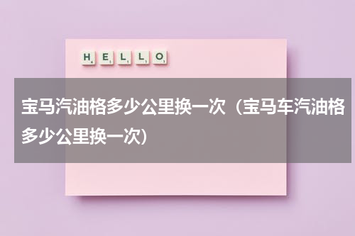 宝马汽油格多少公里换一次（宝马车汽油格多少公里换一次）