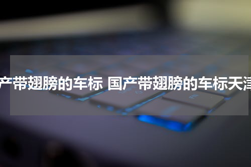 国产带翅膀的车标 国产带翅膀的车标天津