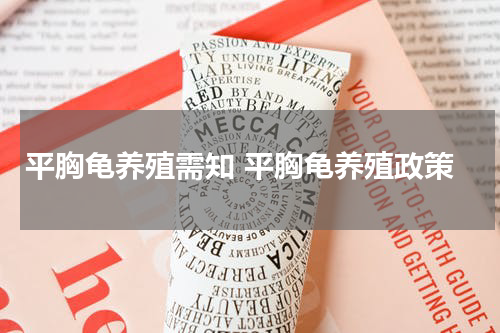 平胸龟养殖需知 平胸龟养殖政策