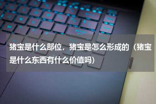 猪宝是什么部位，猪宝是怎么形成的（猪宝是什么东西有什么价值吗）