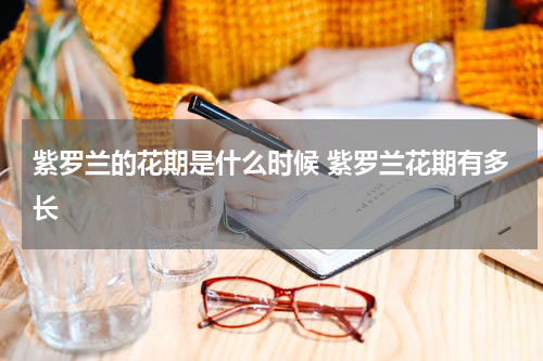 紫罗兰的花期是什么时候 紫罗兰花期有多长