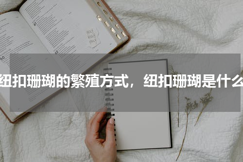 纽扣珊瑚的繁殖方式，纽扣珊瑚是什么