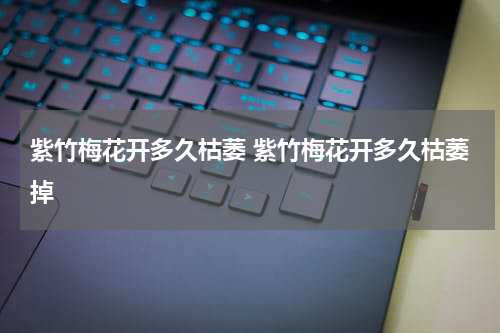 紫竹梅花开多久枯萎 紫竹梅花开多久枯萎掉