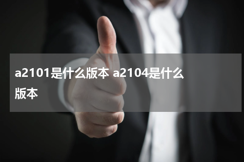 a2101是什么版本 a2104是什么版本