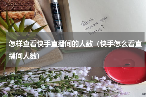 怎样查看快手直播间的人数（快手怎么看直播间人数）