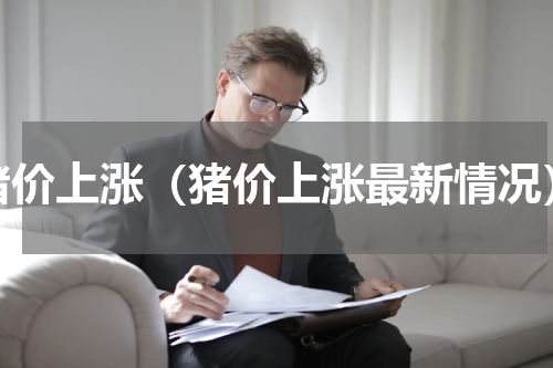猪价上涨（猪价上涨最新情况）