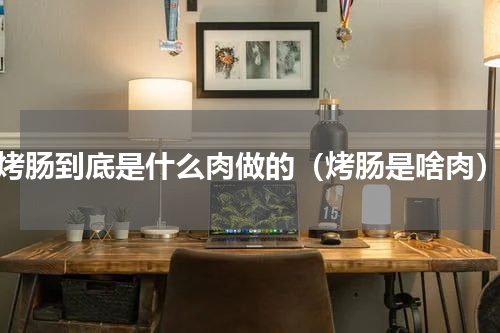 烤肠到底是什么肉做的（烤肠是啥肉）