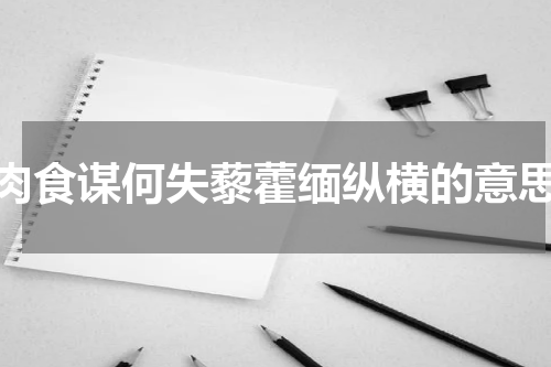 肉食谋何失藜藿缅纵横的意思