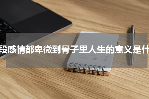 每段感情都卑微到骨子里人生的意义是什么