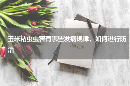玉米粘虫虫害有哪些发病规律，如何进行防治