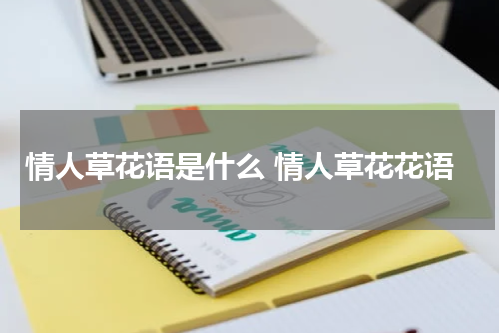 情人草花语是什么 情人草花花语