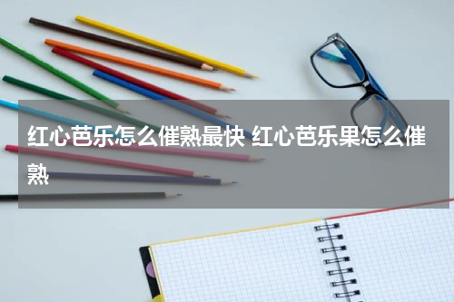 红心芭乐怎么催熟最快 红心芭乐果怎么催熟