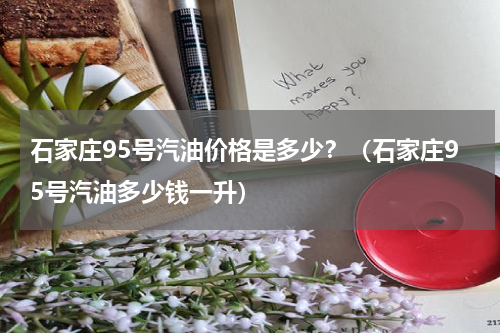 石家庄95号汽油价格是多少？（石家庄95号汽油多少钱一升）