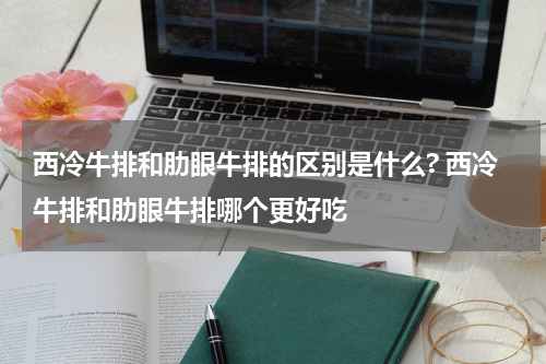 西冷牛排和肋眼牛排的区别是什么? 西冷牛排和肋眼牛排哪个更好吃