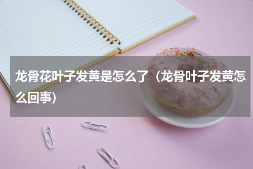 龙骨花叶子发黄是怎么了（龙骨叶子发黄怎么回事）