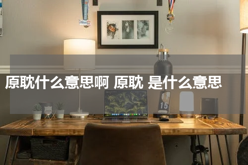 原耽什么意思啊 原耽 是什么意思