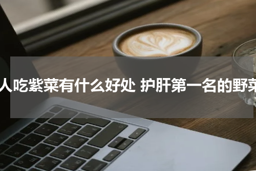 女人吃紫菜有什么好处 护肝第一名的野菜