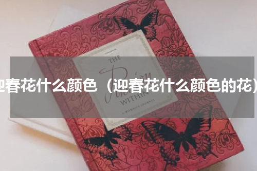 迎春花什么颜色（迎春花什么颜色的花）