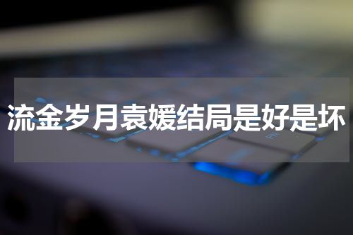 流金岁月袁媛结局是好是坏
