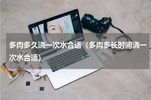 多肉多久浇一次水合适（多肉多长时间浇一次水合适）