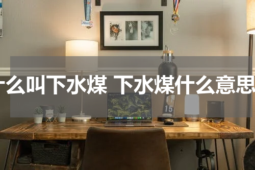 什么叫下水煤 下水煤什么意思