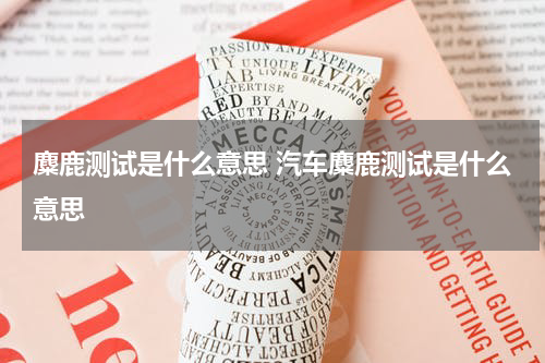 麋鹿测试是什么意思 汽车麋鹿测试是什么意思