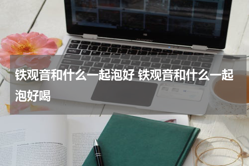 铁观音和什么一起泡好 铁观音和什么一起泡好喝