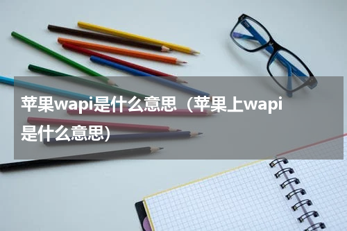 苹果wapi是什么意思（苹果上wapi是什么意思）