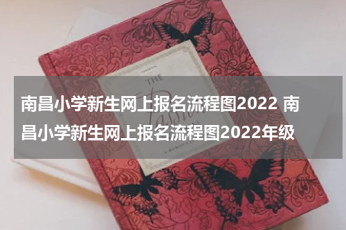 南昌小学新生网上报名流程图2022 南昌小学新生网上报名流程图2022年级