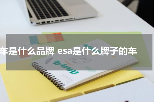 es车是什么品牌 esa是什么牌子的车